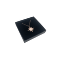 Sterling Silver Cubic Zirconia Star Pendant Necklace With Black and Clear Stones - Naked Nation UK